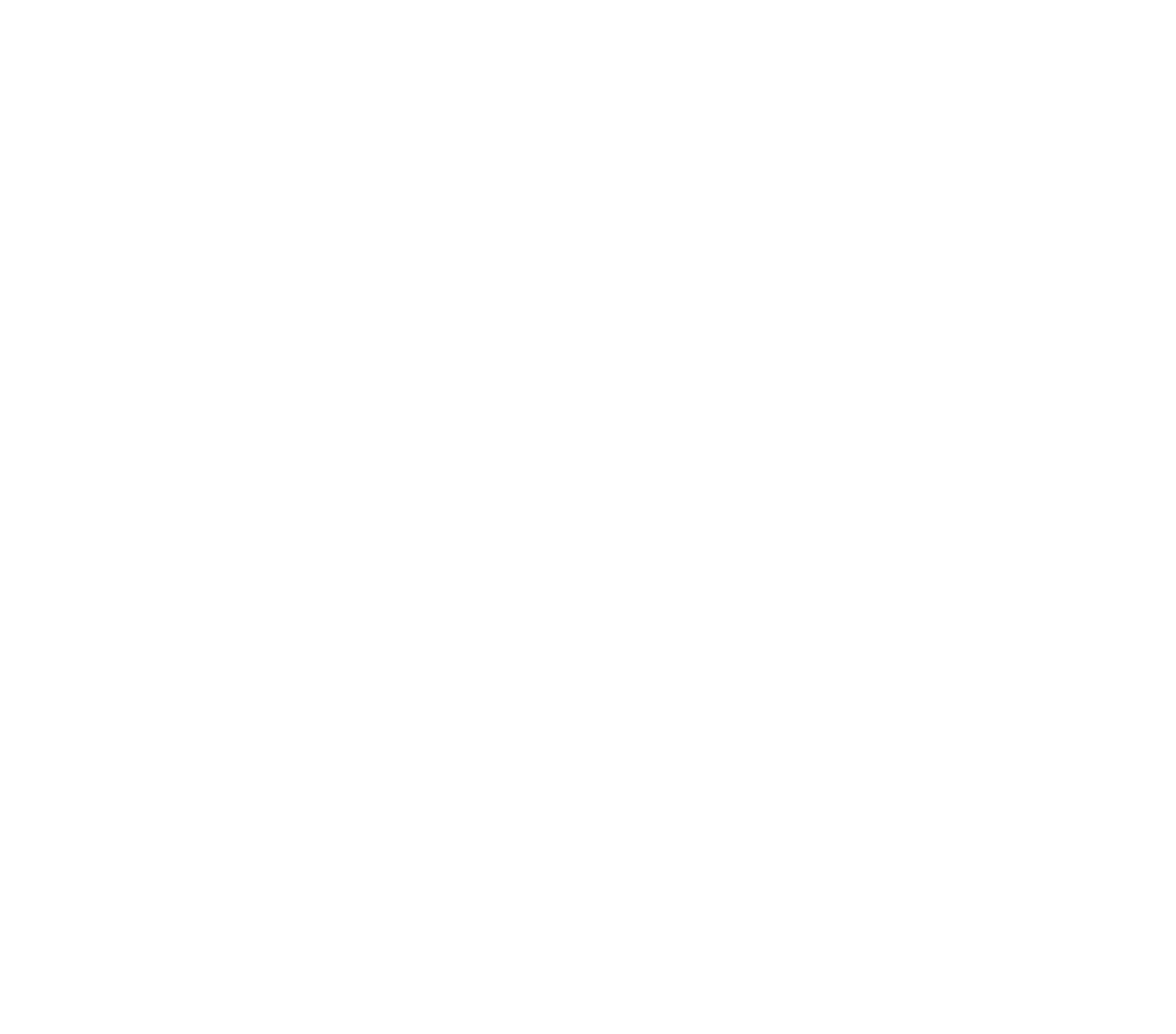 Human Stupidity Logo